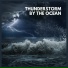 Thunderstorm Global Project from TraxLab