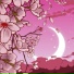 shady moon