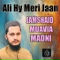Jamshaid Muavia Madni