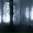 killørst, 1NZZiDENT