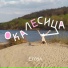 Егоза