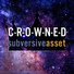 subversiveasset