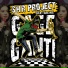SHR Project