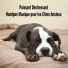 Musique Hang Drum Calmante pour Chiens