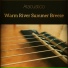 Atacustico