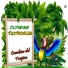 Cumbias Tropicales