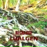 LUALGEN
