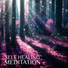 Zen Meditation Music Academy