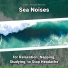 Sea Sounds, Ocean Sounds, Nature Sounds