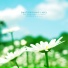 Anemone