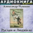 Аудиокнига в кармане, Максим Доронин