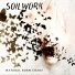 Soilwork (Sweden) (Melodic Modern Death Metal)