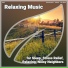 Relaxing Music, Ambient, Calm Music
