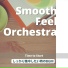 Smooth Feel Orchestra