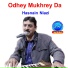 Hasnain Niazi