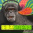 SimioSeniors