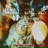 Hanami Grooves