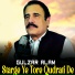 Gulzar Alam