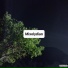 Robinidess