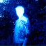 shineyard