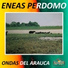 Eneas Perdomo