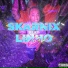 Skarnix feat. Linho