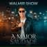Walmir Show