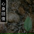 心身回復