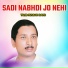 Talib Hussain Dard