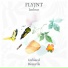 FLYJNT