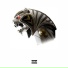 whxtxtiger