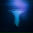 BLURRYFXCE