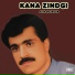 Alim Masroor