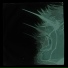 zanudda, PHXXSPHOR