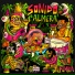Sonido Palmera feat. Pernett