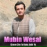Mubin Wesal