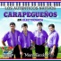 Los Autenticos Nativos Carapegueños