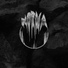 Реамп 2
