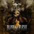 Bliss of Flesh