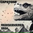 Capstone