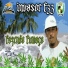 Invasor F33