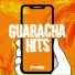 Guaracha Aleteo VIP