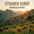 Stranen Kurdi