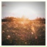 Muni, Kinissue, Lazyboyloops