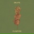 Flowtype
