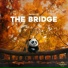 Panda Lofi, Panda Study, Panda Music