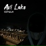 Avi Lake