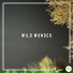 JW Media Music