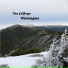 The [V]Erge