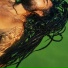 cabral.